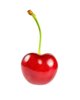 Single red cherry isolated on white background.