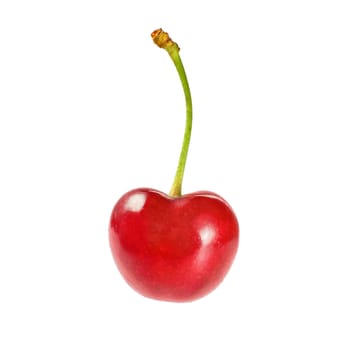 Single red cherry isolated on white background