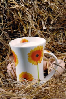 a glass of cow's milk standing on the hay