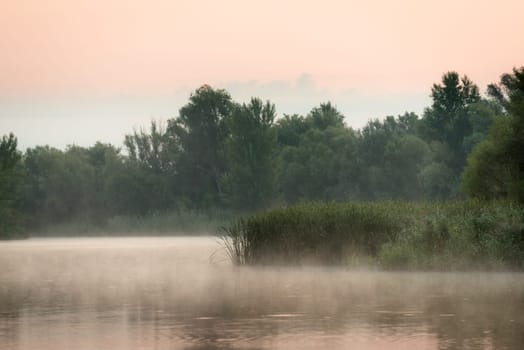 fog on the water of a lake