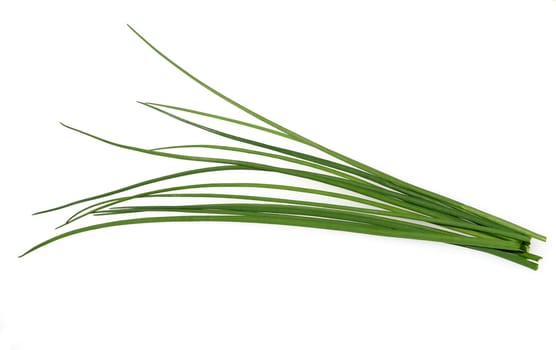 Chives,Allium schoenoprasum,are an important medicinal and medicinal plant. The herb is also used in the Frankfurt green sauce.