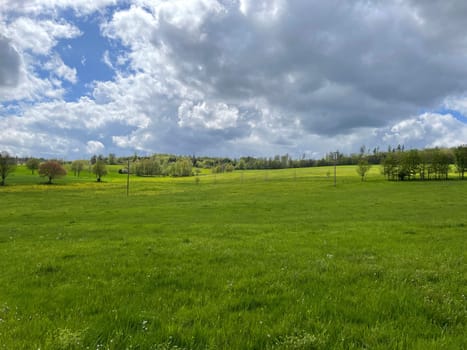 Green meadow in the Taunus during the spring with colorful,flowers and clouds in the sky.
