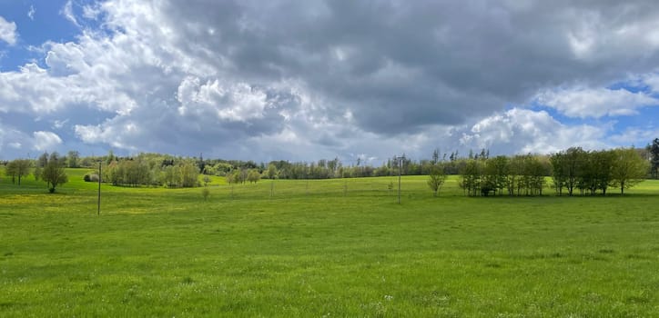 Green meadow in the Taunus during the spring with colorful,flowers and clouds in the sky.