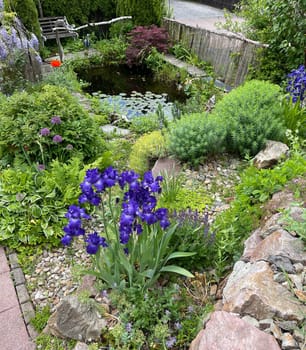 Garden pond,with water lilies and other water plants and flowers belongs in every garden that looks good.