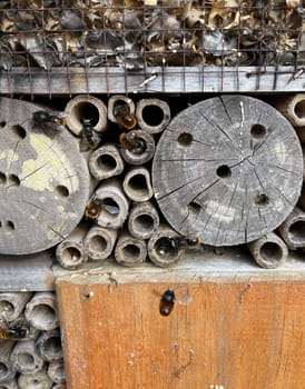 Insect hotels serve insects,especially wild bees,as a shelter and breeding ground.