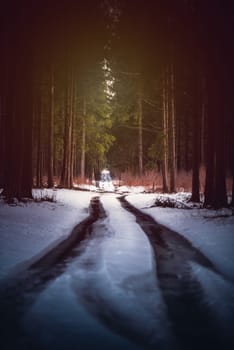 Forest road in winter with snow and trees