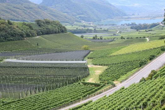 A view of the area of the South Tyrolean Wine Route near Kaltern with a view of Lake Caldaro. The wine-growing region includes the following communities: Andrian,Bozen,Auer,Branzoll,Eppan,Kaltern,Kurtasch,Kurtinig,Margreid,Montain,Nals,Termeno