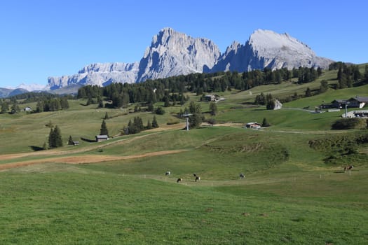 The Seiser Alm in the background the Dolomites with the mountains Plattkofel,Grohmannspitze,Fünffingerspitze,Langkofeleck,Langkofel,Piz Gralba,Piz Beguz,Sas dai Ciamorces South Tyrol,Alps in Italy.