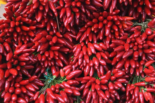 The red chilli belongs to the family of peppers. It is a nightshade plant. The fruits are used as a vegetable and a spice.