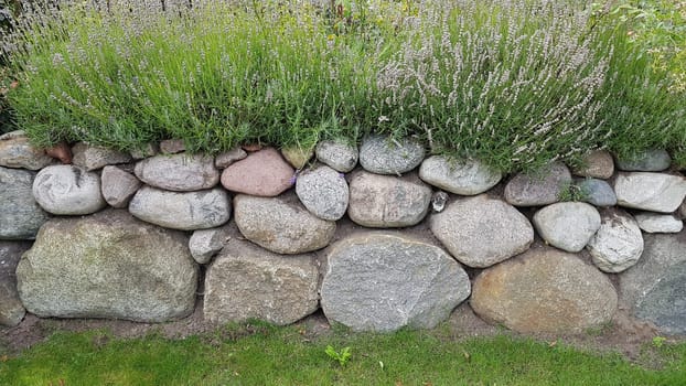 Friesenwall,Friezes wall,consists of stacked boulders from the Ice Age.