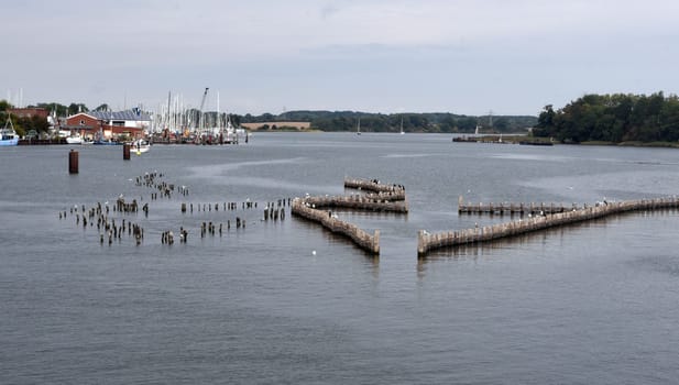 Herring fence in the town of Kappeln is a unique document of fishing in the Schlei. It is the last fully functional herring fence in Europe.