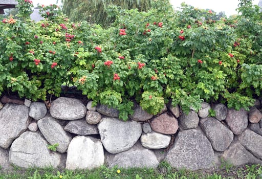 Friesenwall,Friezes wall,consists of stacked boulders from the Ice Age.