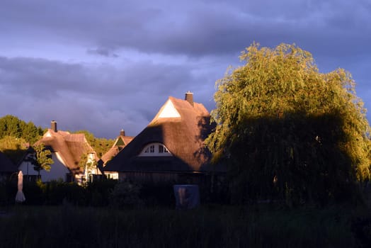 Friesenhaueser with thatched roof made of reeds.