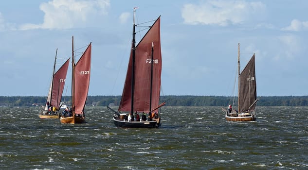Zeesboat,regatta in the lagoon landscape in Mecklenburg-Western Pomerania.