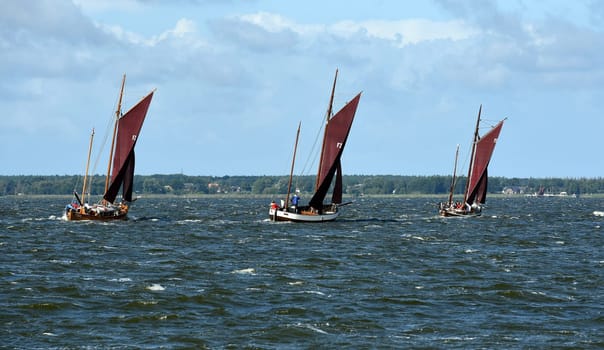 Zeesboat,regatta in the lagoon landscape in Mecklenburg-Western Pomerania.