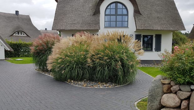 Friesenhaueser with thatched roof made of reeds.