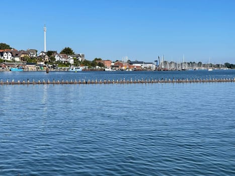 Herring fence in the town of Kappeln is a unique document of fishing in the Schlei. It is the last fully functional herring fence in Europe.