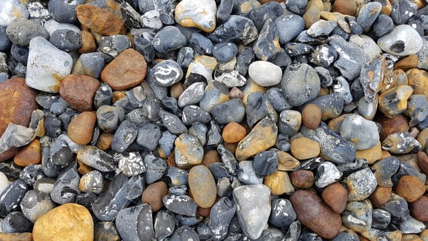 Pebbles on the Baltic coast are beautiful to look at.