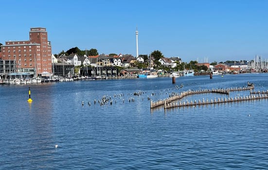Herring fence in the town of Kappeln is a unique document of fishing in the Schlei. It is the last fully functional herring fence in Europe.