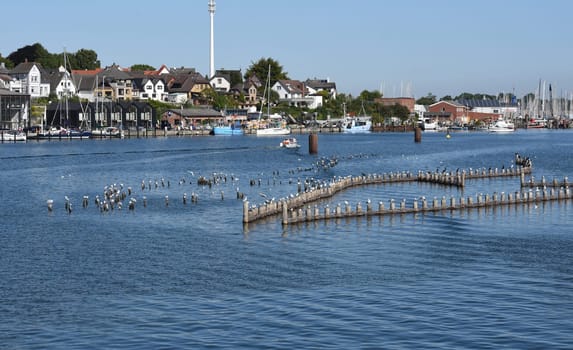Herring fence in the town of Kappeln is a unique document of fishing in the Schlei. It is the last fully functional herring fence in Europe.