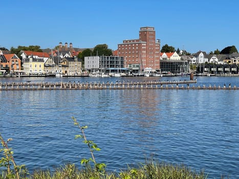 Herring fence in the town of Kappeln is a unique document of fishing in the Schlei. It is the last fully functional herring fence in Europe.