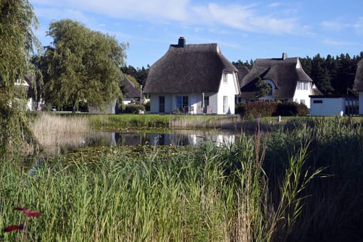 Friesenhaueser with thatched roof made of reeds.