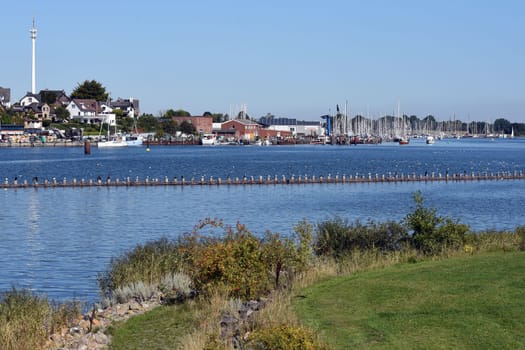 Herring fence in the town of Kappeln is a unique document of fishing in the Schlei. It is the last fully functional herring fence in Europe.