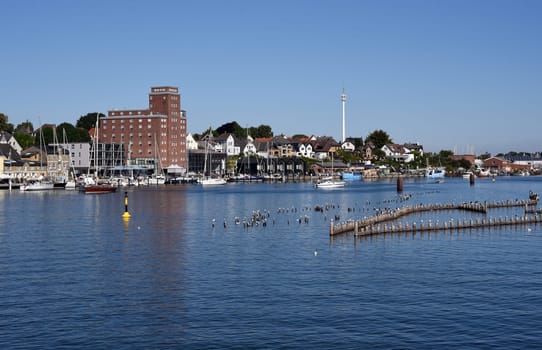 Herring fence in the town of Kappeln is a unique document of fishing in the Schlei. It is the last fully functional herring fence in Europe.