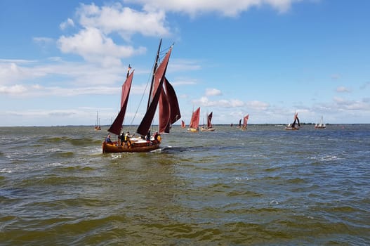 Zeesboat,regatta in the lagoon landscape in Mecklenburg-Western Pomerania.