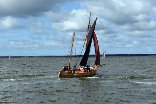 Zeesboat,regatta in the lagoon landscape in Mecklenburg-Western Pomerania.