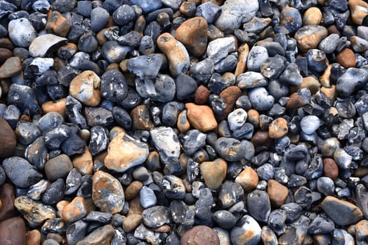 Pebbles on the Baltic coast are beautiful to look at.