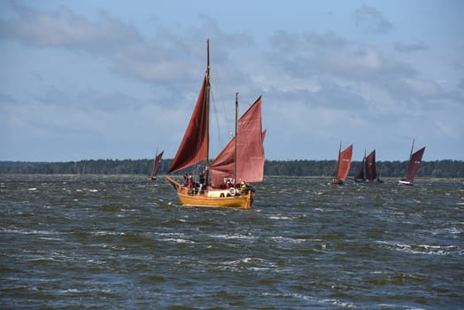 Zeesboat,regatta in the lagoon landscape in Mecklenburg-Western Pomerania.