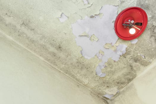 Deteriorated yellow wall with mold and red broken lamp