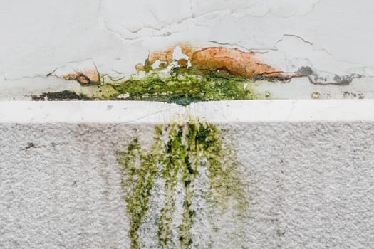 Moss and Mold spots on the ceiling on wall due to poor air ventilation and high humidity. Harm to health.