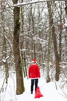 Traditional Santa Claus wearing a hat and dragging a big red sack with gifts through the forest