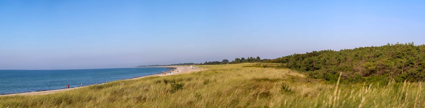 Panorama over the dune landscape on the Baltic Sea coast.