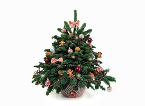 Beautiful small decorated Christmas tree on a white wooden table. Good mood. Danish pine and fir, Nobilis