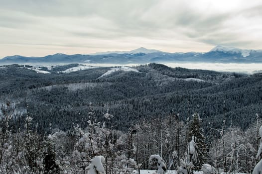 beautiful panorama of mountain forests, the theme of mountain sports, skiing, Bukovel, Carpathians, Ukraine
