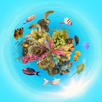 underwater paradise background - coral reef wildlife nature collage with sea turtle and colorful fish background