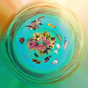 underwater paradise background - coral reef wildlife nature collage with sea turtle and colorful fish background