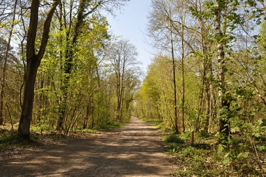 Communal forest of Saint-Pierre-Lès-Elbeuf