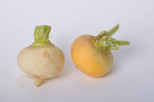 Young turnips on a white background