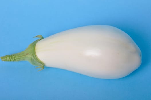 White eggplant on a blue background