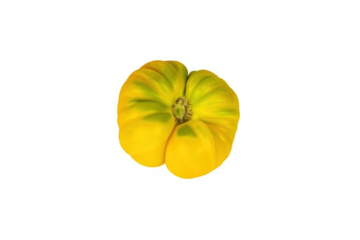 Yellow tomato vegetable isolated on white background. Yellow tomato. Vegetable harvest. Agricultural products. Farming business. Showcase of a grocery store. Background image.