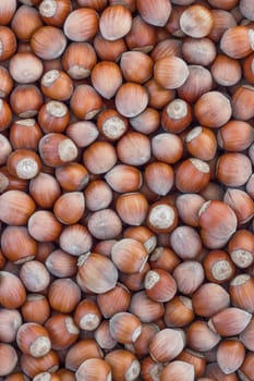 Hazelnuts. Stack of hazelnuts. Food background. Hazelnut background.