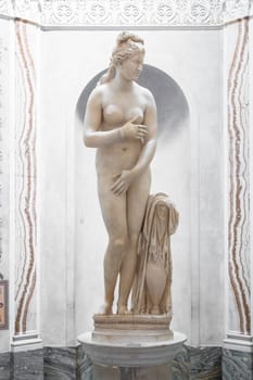 ROME, ITALY - CIRCA AUGUST 2020: Roman antique statue of Capituline Venus in marble.