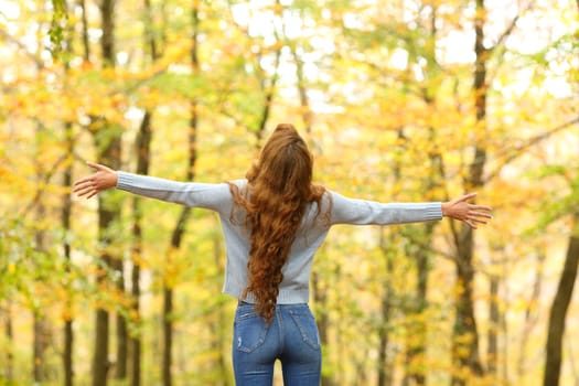 Back view of an excited woman outstretching arms in a forest