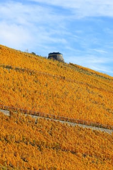 The potato tower is a sight of the city of Würzburg