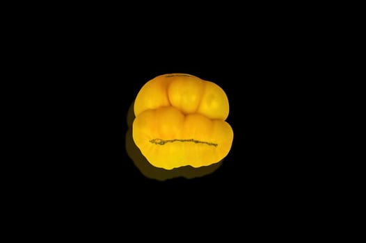 Yellow tomato vegetable on a black background. Yellow tomato. Vegetable harvest. Agricultural products. Farming business. Showcase of a grocery store. Background image.