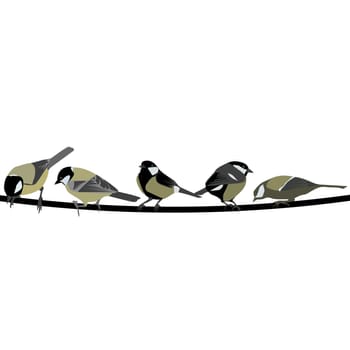 Card with hand drawn Great Tit birds sitting on a tree branch